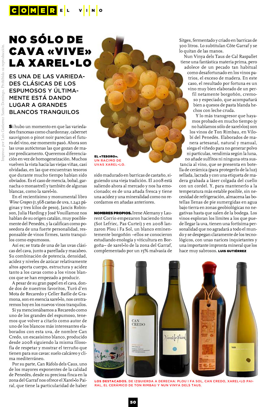 Porcellanic article Porcellanic article
